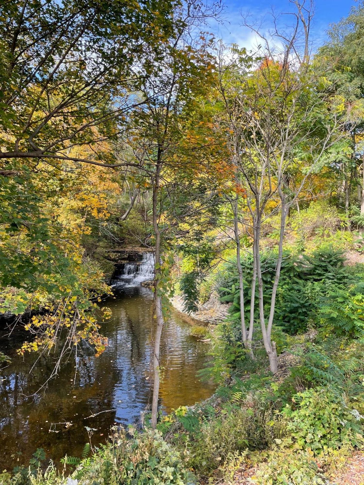 The Fallsview At Falls